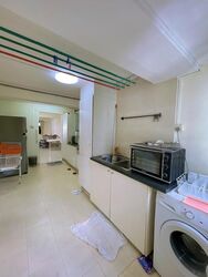 Blk 19 GHIM MOH GARDENS (Queenstown), HDB 3 Rooms #486334921